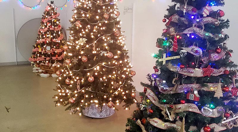 Ag Society tree event raises funds for local charities - The Equity